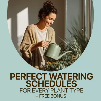 Indoor Plant Watering Frequency: A Practical Guide