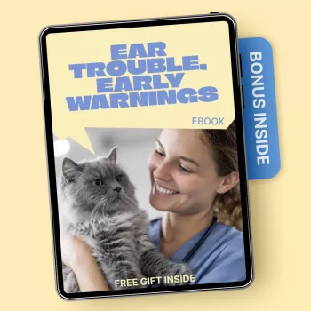 Early Ear Infection Signs in Dogs & Cats: What to Watch